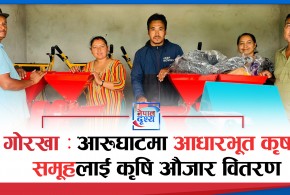 गाेरखाकाे आरुघाटमा आधारभूत कृषक समूहलाई कृषि औजार वितरण